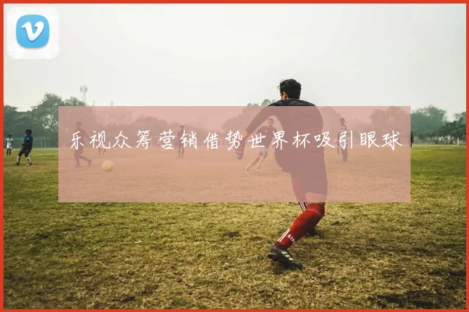 乐视众筹营销借势世界杯吸引眼球