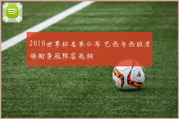 2010世界杯名单公布 巴西与西班牙领衔争冠阵容亮相